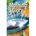 Morning Glory by Audrey K Groser